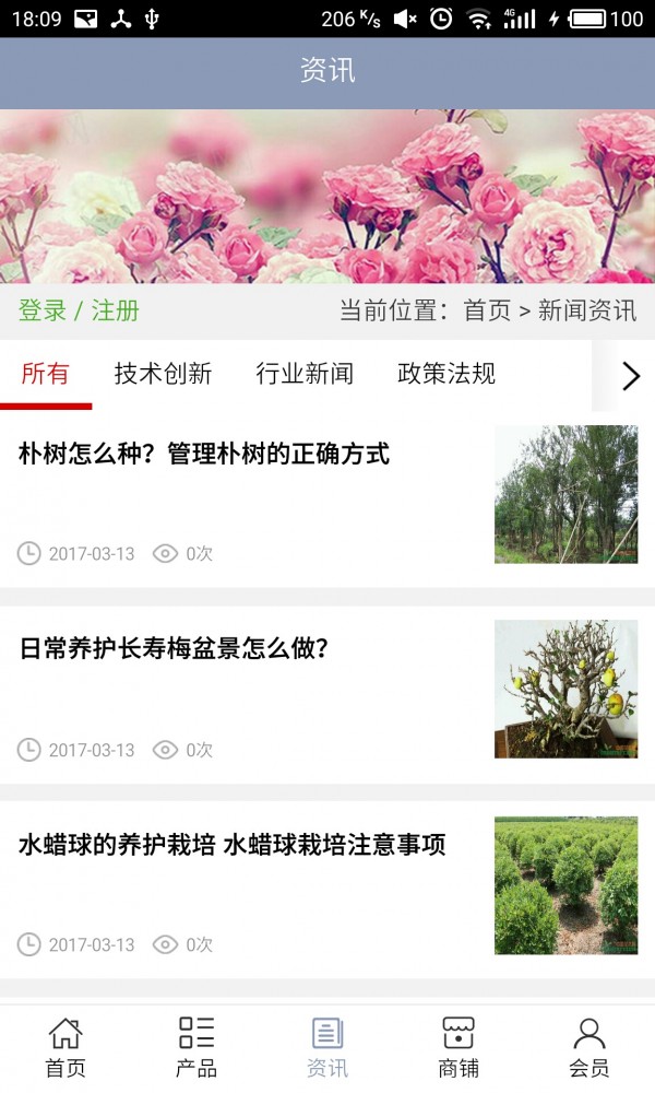 中国苗木交易市场